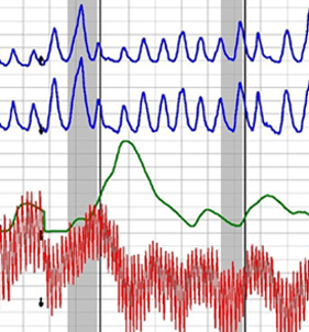 polygraph test in hawthorne